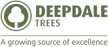 Deepdale Trees Logo